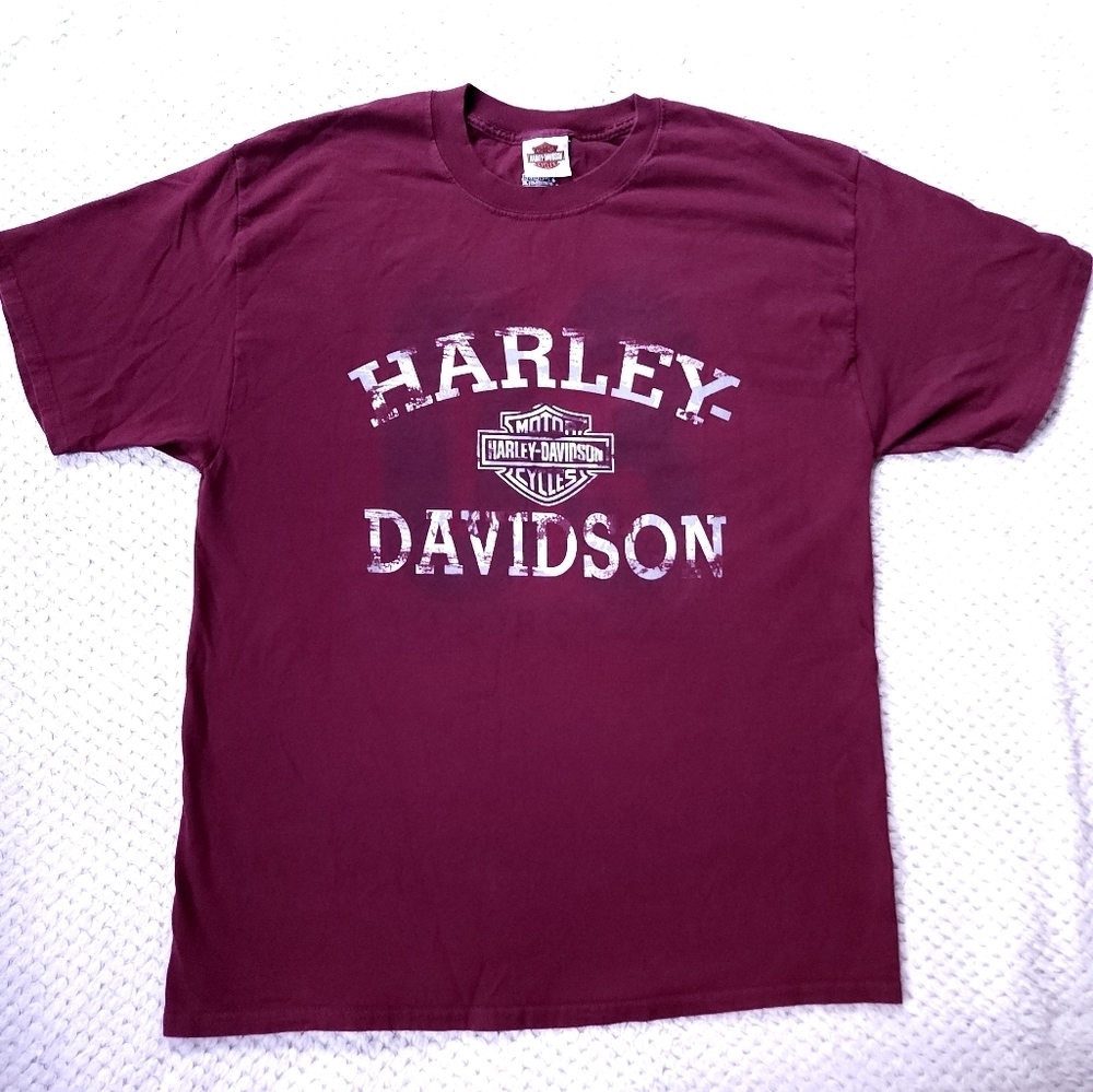 2010s Y2K Harley Davidson Motorcycles  Men's SZ XL Biker TShirt